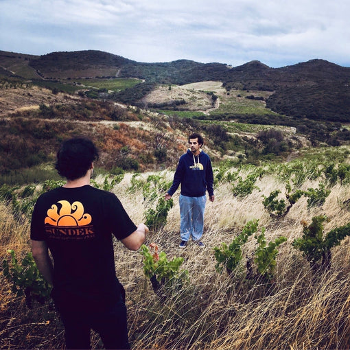 NADA Vandal Wine Calce