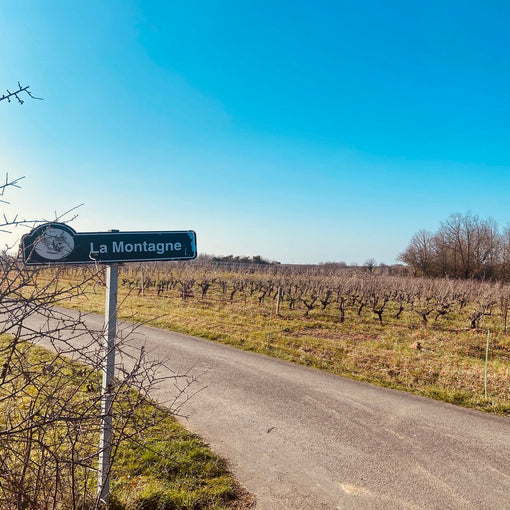 Château de Bonnezeaux