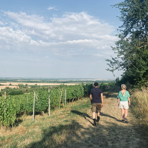 domaine de la legerete