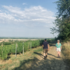 domaine de la legerete