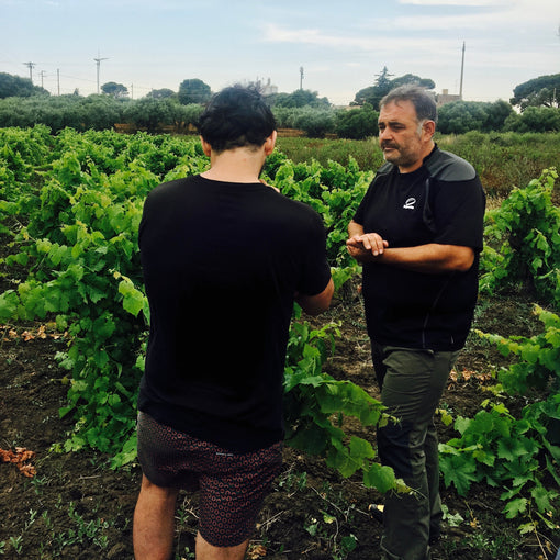 Viteadovest, Marsala