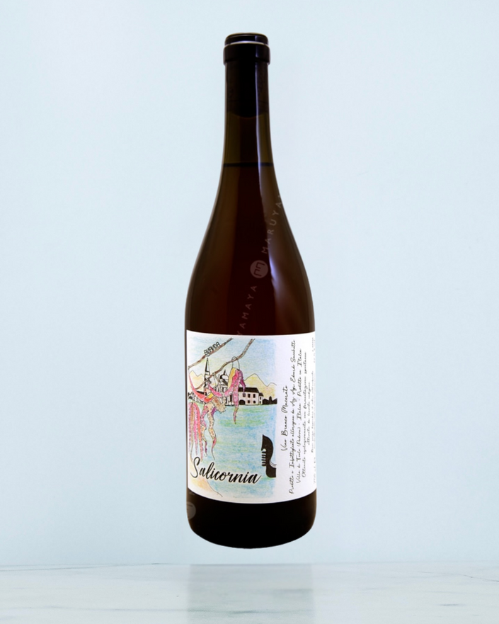 B2B Ananda - Salicornia