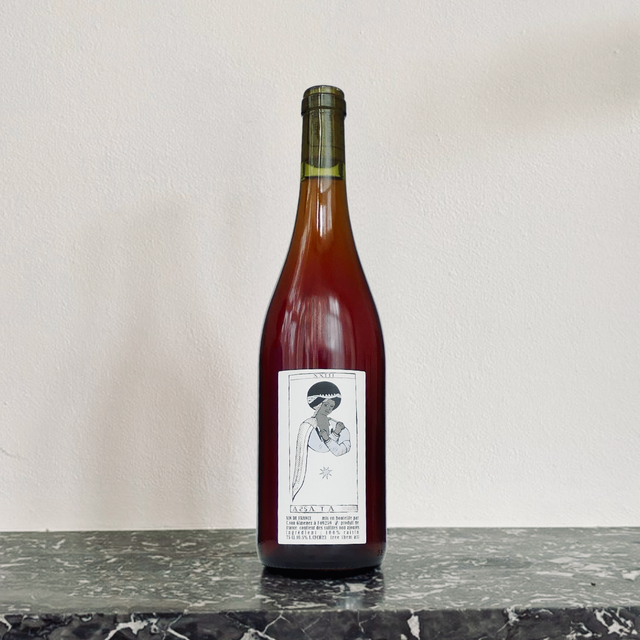 Caroline Gimenez - Assata