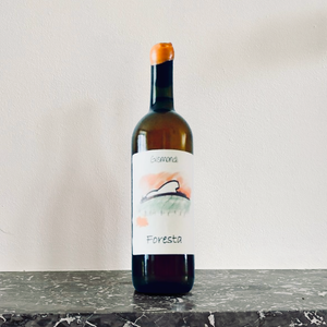 B2B Gismondi - Foresta